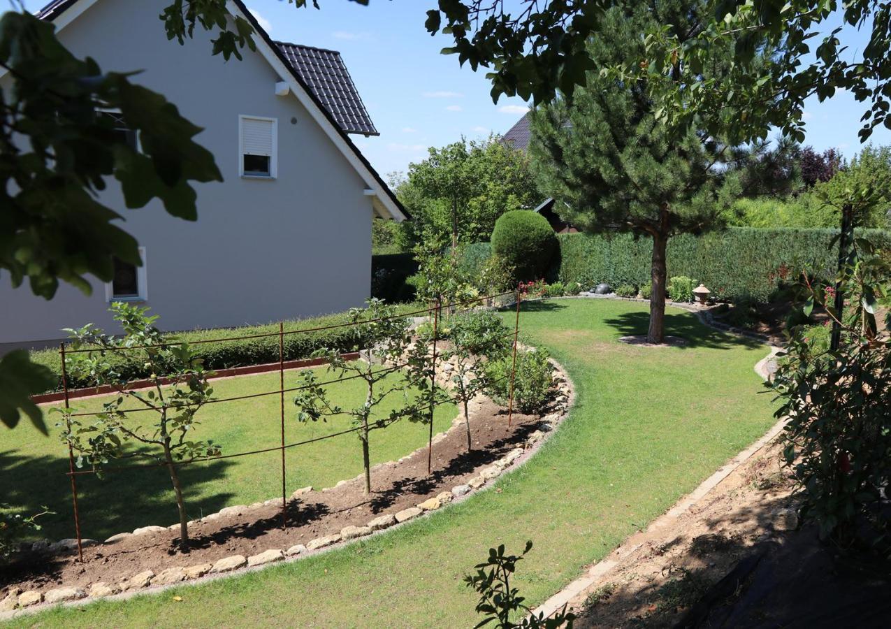 Duft- Und Parfuemfreie Allergiker-Fewo Mertendorf Exteriér fotografie
